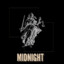 Midnight Panther