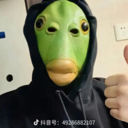 D独立日
