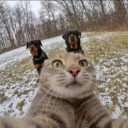 她说戴了不算给