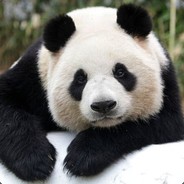 Panda_Waffle's avatar