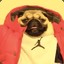 DrakethePug