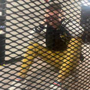 [tax fraud [vitality] ropz]