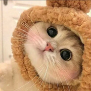 kitty_power