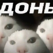 слэшечка