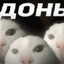 слэшечка