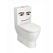 toilet