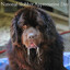 Slobber