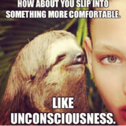 Disturbing Sloth