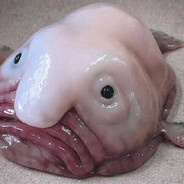 Prebenfisk Steam avatar
