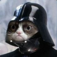 stooger - steam id 76561197966971307