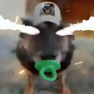 大狗嚼俱乐部-吉尔贼达