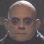 Zio Fester