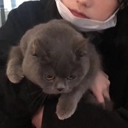 拔刀能留住樱花嘛。