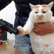 AK47上膛把你shoot