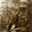 dame gruev
