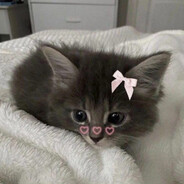 ∞empty∞summer∞