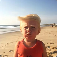 阳光彩虹小白马