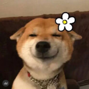 我本将心向明月