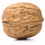 nUT