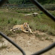 爆你头我自己都怕