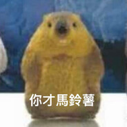 勝者為王敗者男娘