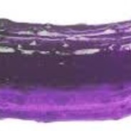 PURPLEPICKLE
