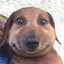 doug