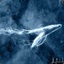 Blue Whale Patronus