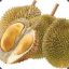 Musang King