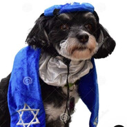 Madame BarMitzvah avatar
