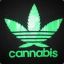 Cannabis