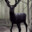 Tarlandeer