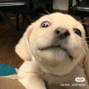 转生被残疾少女用轮椅