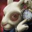 white rabbit