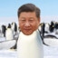 Xi Jinpinguim