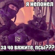 Бля коте поймали