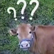 立棍单打阿嘟嘟昆博