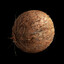 Hairy ball