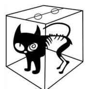 那只始终生死未卜的猫