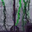 Pole