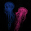 7fff2b738fed27f9c1359a1c899ad62a1c9e8275 medium