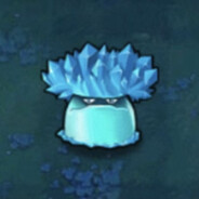 博某种的寒冰菇