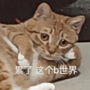 11Lang