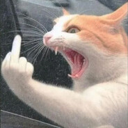 Kogelek †   skins.army