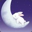 Moon Bunny