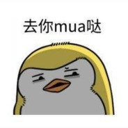 星星不闪包退换