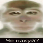 stiqs_