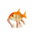 bethyrek
