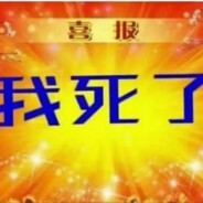 皇朝中我指鹿为马