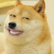 我家猫会飞雷神